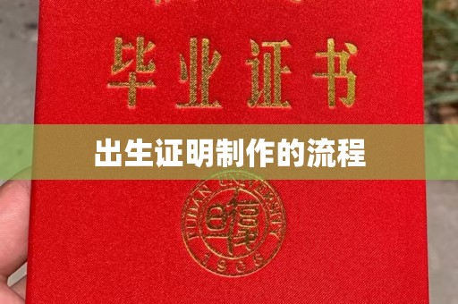 禄丰出生证明制作的流程