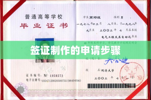 禄丰签证制作的申请步骤