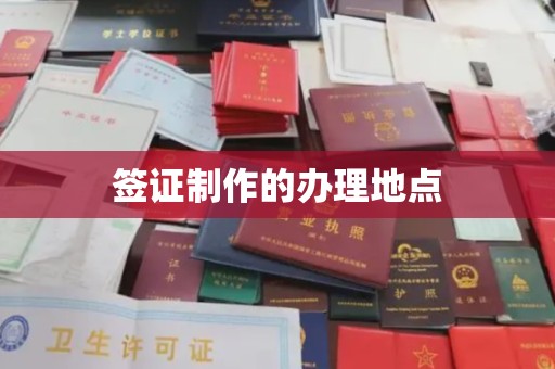 禄丰签证制作的办理地点
