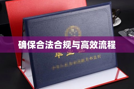 禄丰确保合法合规与高效流程