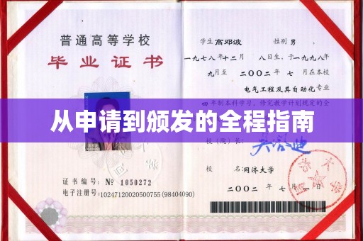 禄丰从申请到颁发的全程指南