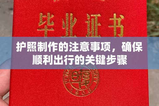 禄丰护照制作的注意事项，确保顺利出行的关键步骤