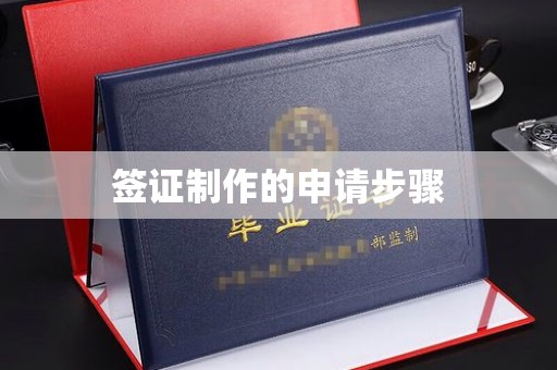 禄丰签证制作的申请步骤