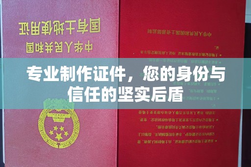 禄丰专业制作证件，您的身份与信任的坚实后盾