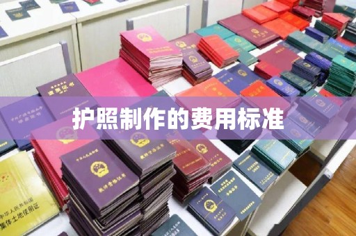 禄丰护照制作的费用标准