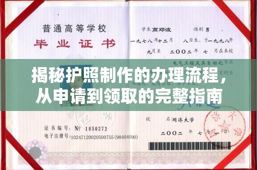 禄丰揭秘护照制作的办理流程，从申请到领取的完整指南