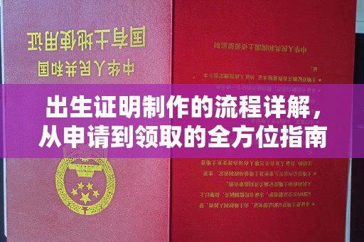 禄丰出生证明制作的流程详解，从申请到领取的全方位指南