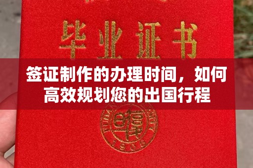 禄丰签证制作的办理时间，如何高效规划您的出国行程