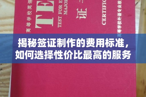 禄丰揭秘签证制作的费用标准，如何选择性价比最高的服务？