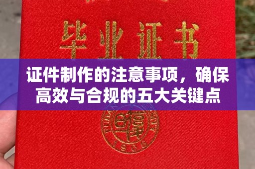 禄丰证件制作的注意事项，确保高效与合规的五大关键点