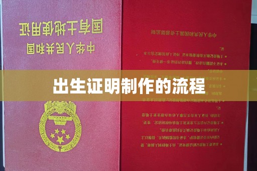 禄丰出生证明制作的流程