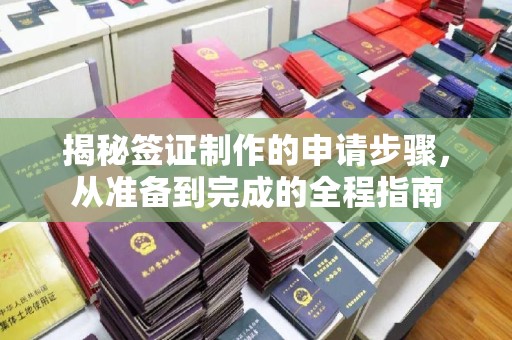 禄丰揭秘签证制作的申请步骤，从准备到完成的全程指南