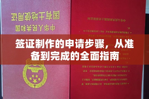 禄丰签证制作的申请步骤，从准备到完成的全面指南