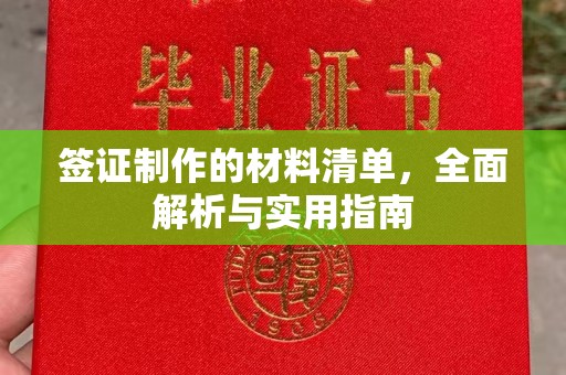 禄丰签证制作的材料清单，全面解析与实用指南