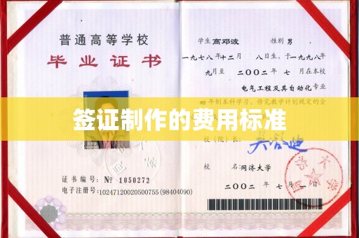 禄丰签证制作的费用标准