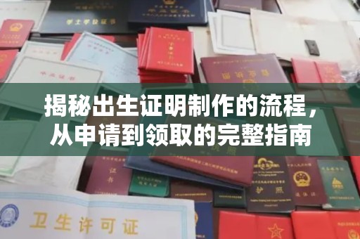禄丰揭秘出生证明制作的流程，从申请到领取的完整指南