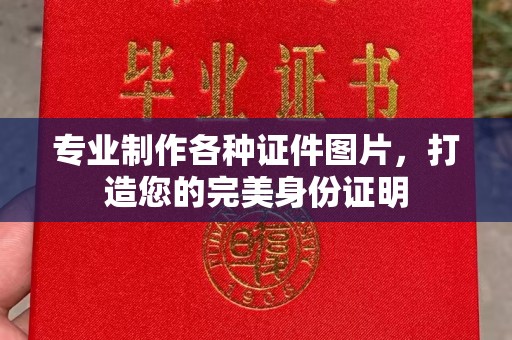 禄丰专业制作各种证件图片，打造您的完美身份证明