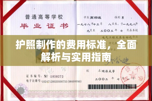 禄丰护照制作的费用标准，全面解析与实用指南