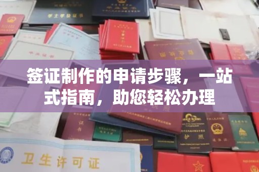 禄丰签证制作的申请步骤，一站式指南，助您轻松办理