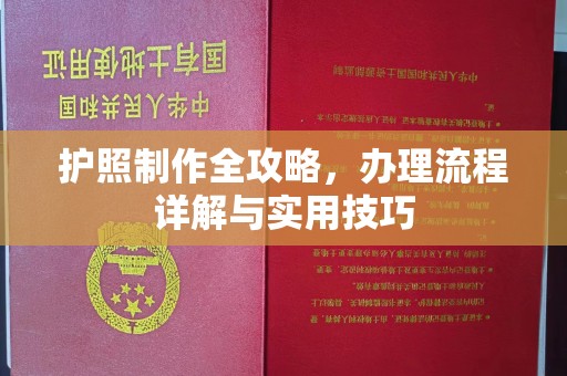 禄丰护照制作全攻略，办理流程详解与实用技巧