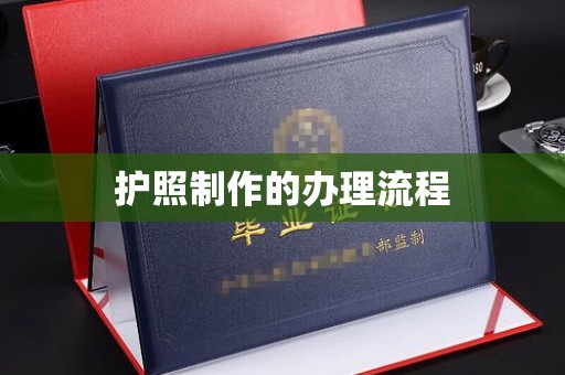禄丰护照制作的办理流程
