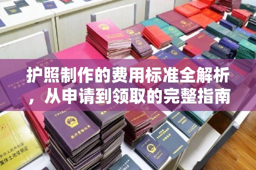 禄丰护照制作的费用标准全解析，从申请到领取的完整指南